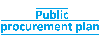 Public procurement plan for 2025