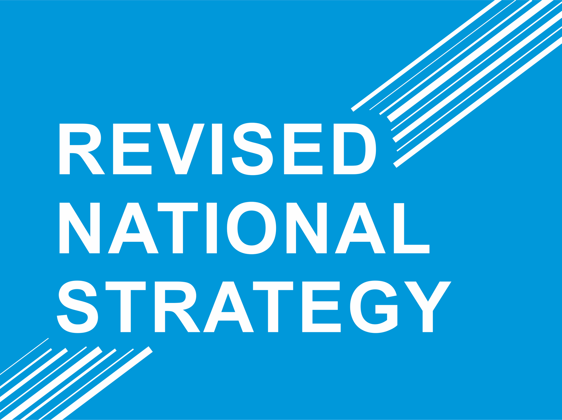 Revised National War Crimes Processing Strategy